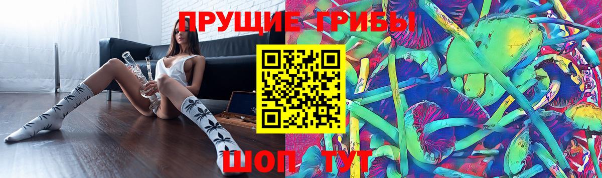 Псилоцибиновые грибы Psilocybine cubensis  Вход с VPN  закладки  Котовск 